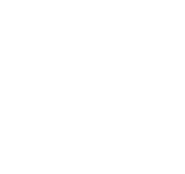 Solid Stride Technology Partners
