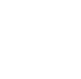 The Shine Drop